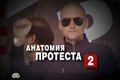 Гюльчатай открыла личико… Фильм НТВ «Анатомия протеста-2» припёр к стенке «рукопожатную» российскую оппозицию