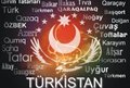 «…суть и особенности тюркского феномена в мировой цивилизации»… Поиск и формирование исторических предпосылок для пантюркистского проекта?