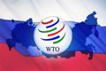 Алексей Лихачёв: «Россия приступает к реализации своих интересов в ВТО»